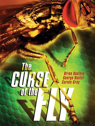 Bringing Back the Fly: The Legacy of 'The Curse of the Fly